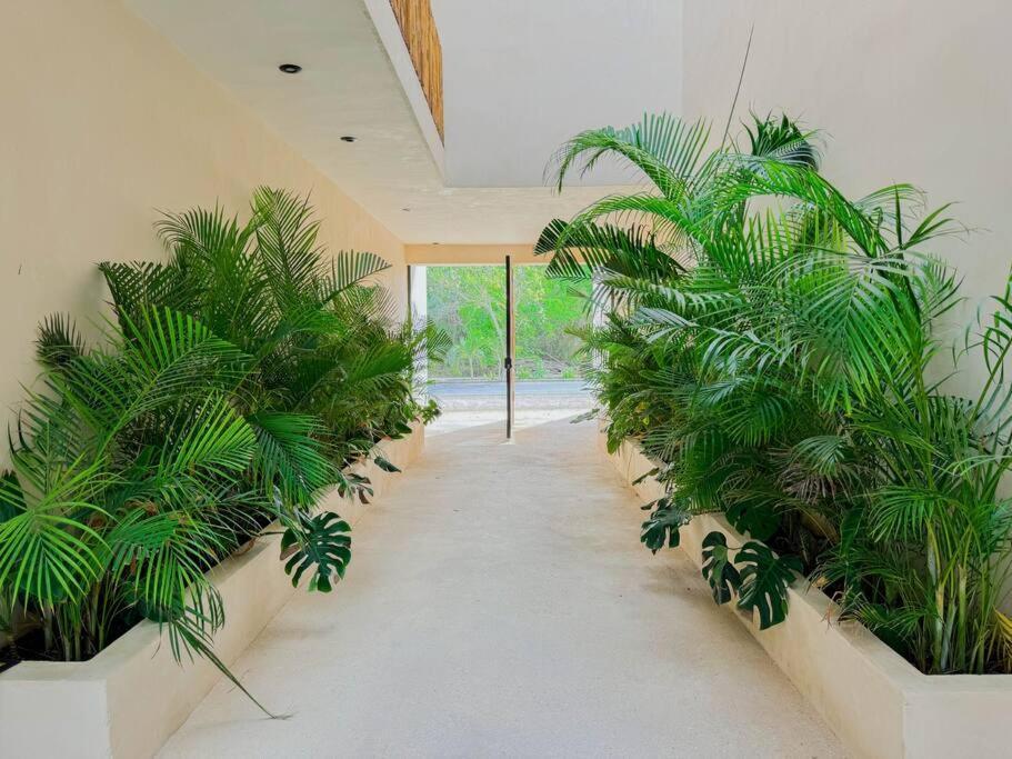 Increible Y Acogedor Estudio-agata 4 By Sandy Powerful Apartamento *
