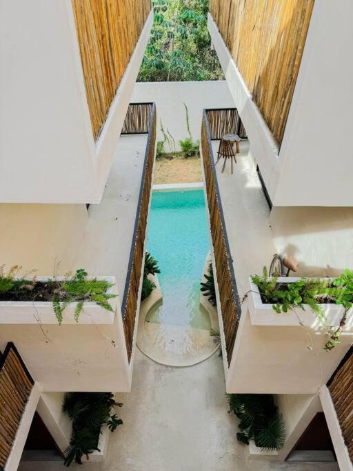 Apartamento Increible Y Acogedor Estudio-agata 4 By Sandy Powerful Tulum