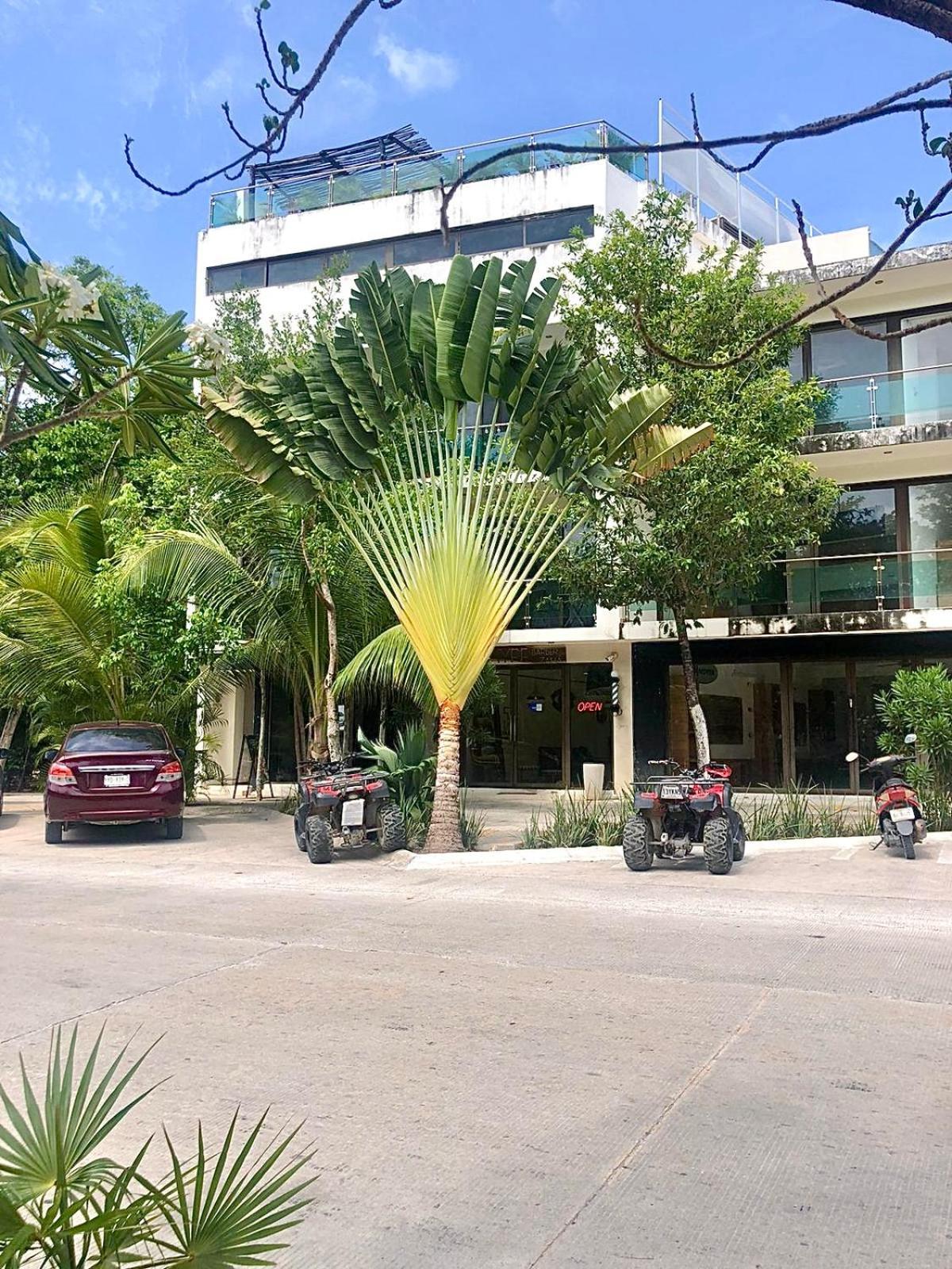 Centro Aldea Zama Tulum