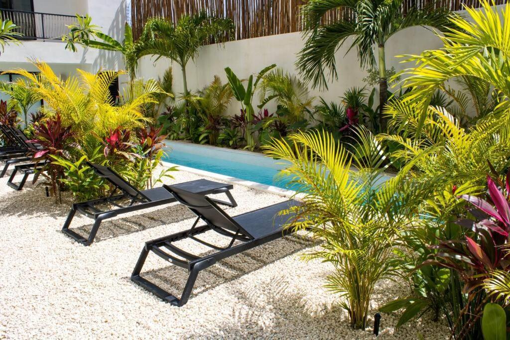 Apartamento Departamento Con Alberca Privada En Tulum Tulum