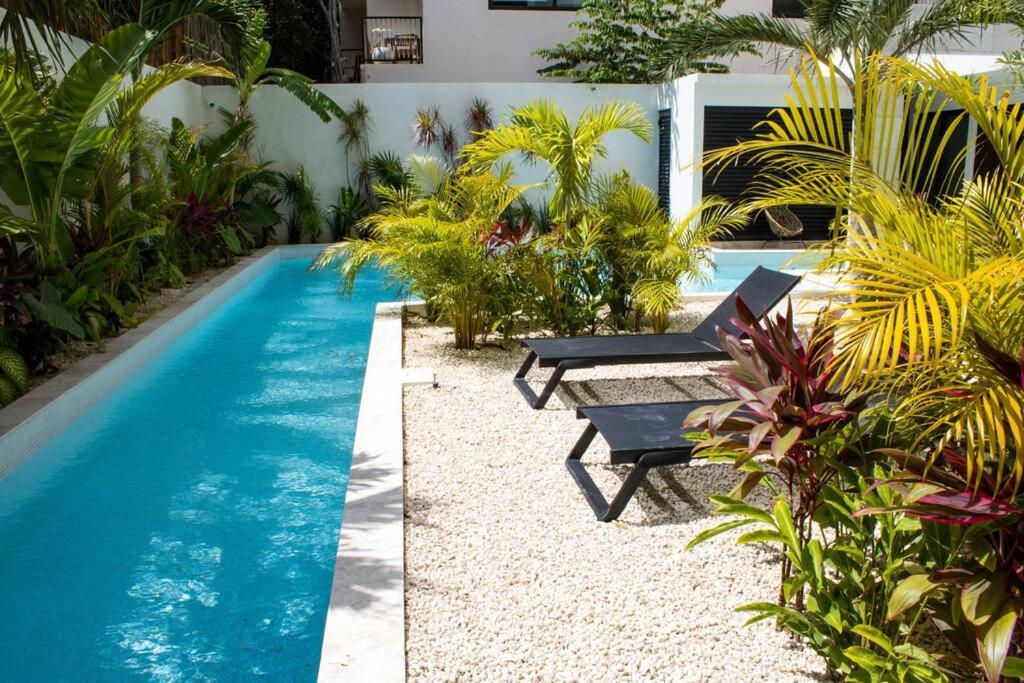 Departamento Con Alberca Privada En Tulum *