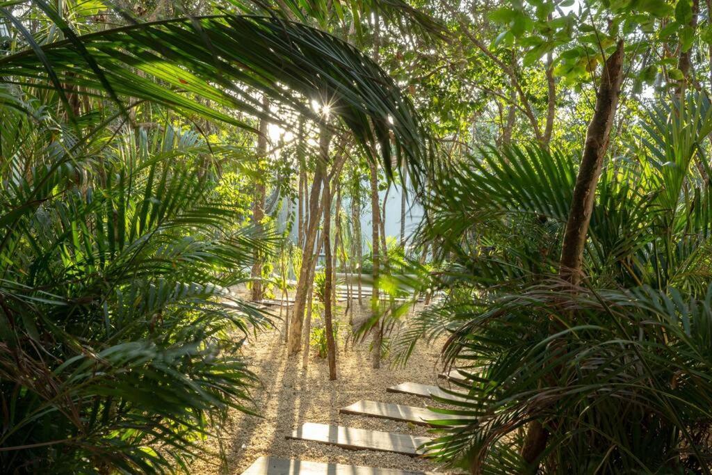 New 1 Bed - - Private Terrace Tulum