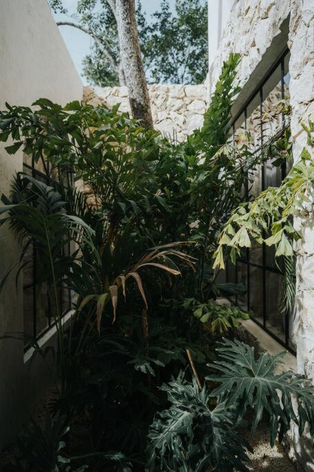 Apartamento Design Casa Azhar With Private Pool