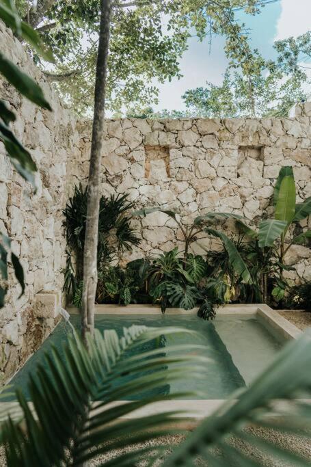 Apartamento Design Casa Azhar With Private Pool Tulum