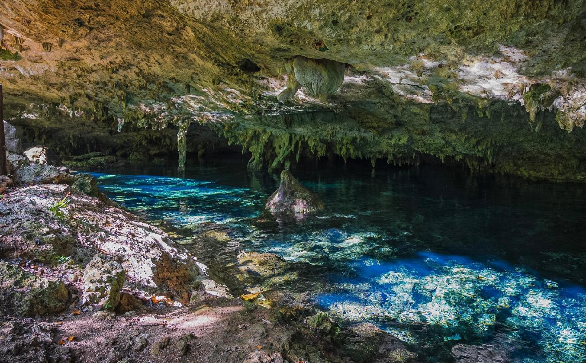 Treehouse H2ojos 4* Tulum