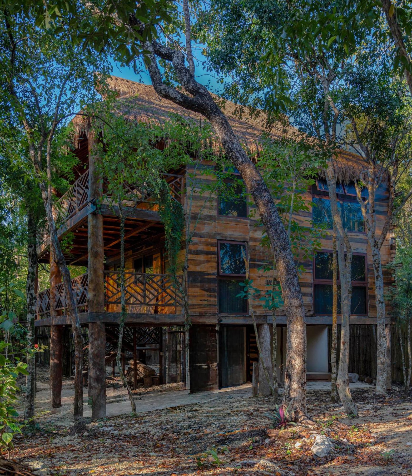 Camping Treehouse H2ojos Tulum