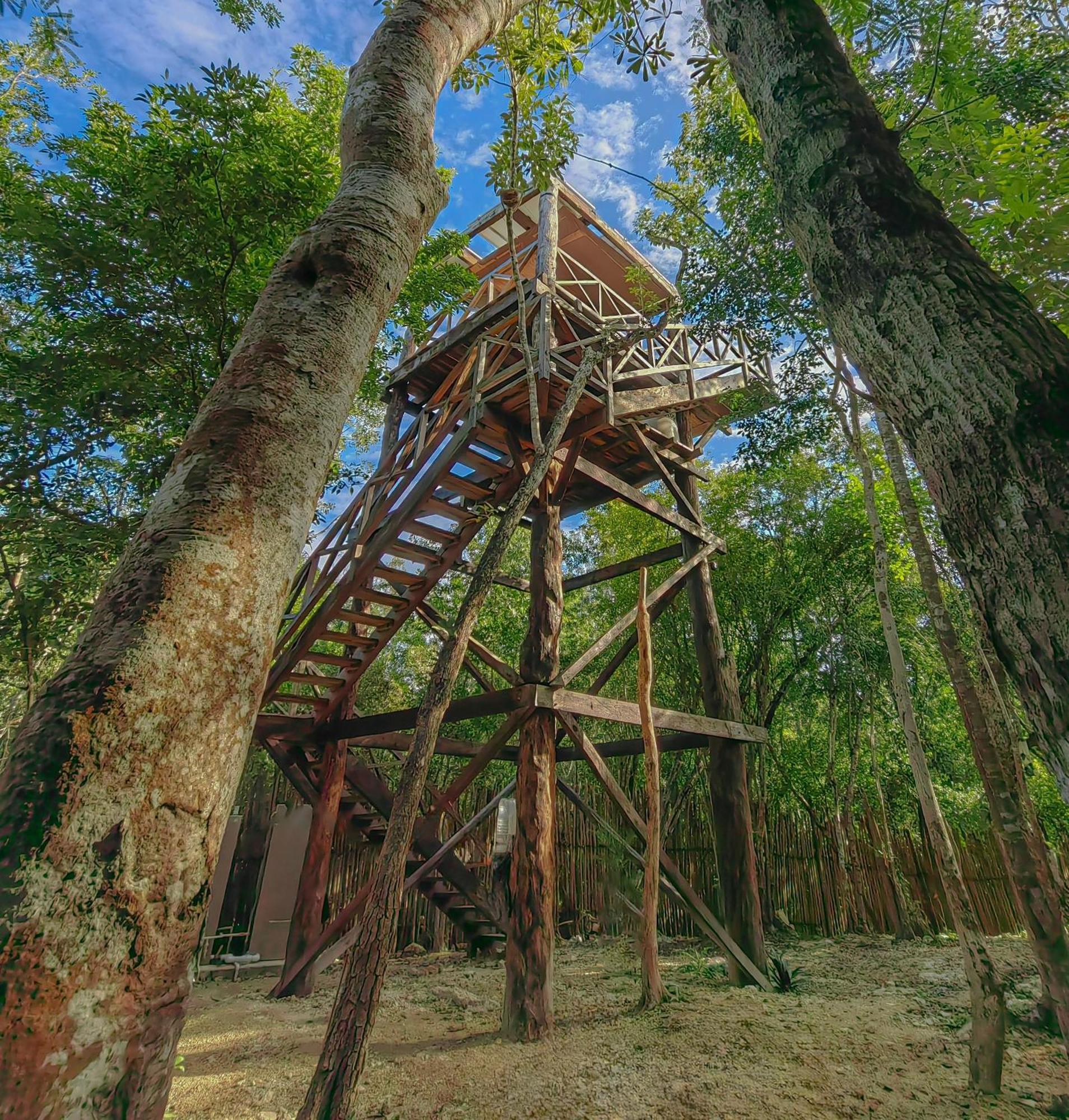 Camping Treehouse H2ojos