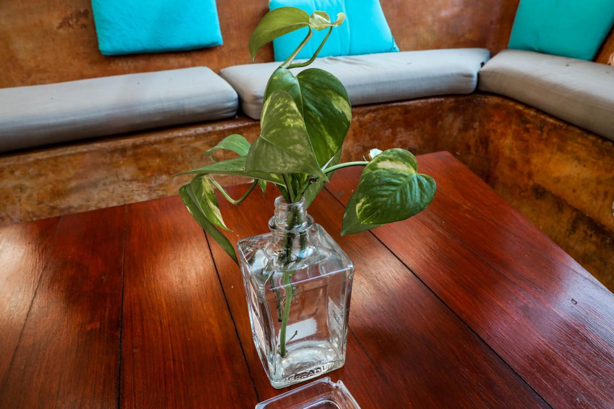 Ana Oasis Aldea Z Apartamento Tulum