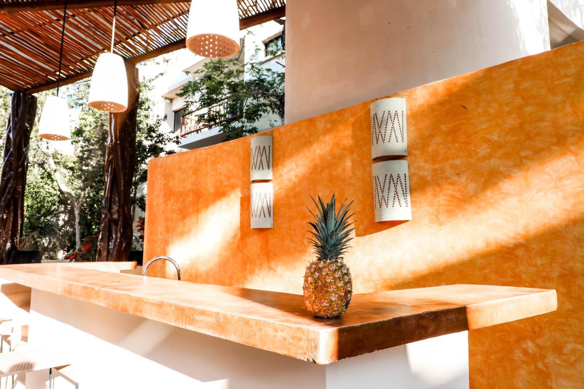 Ana Oasis Aldea Z