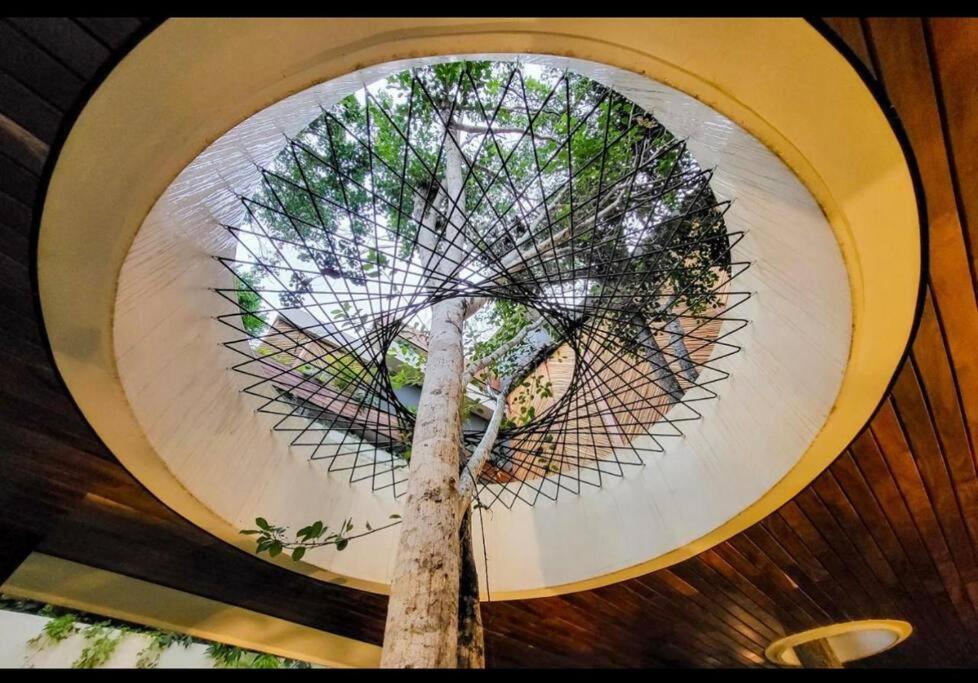 5 Star New Luxury With Cenote And Infinity Pool Apartamento *