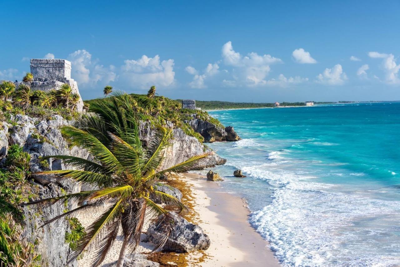 5 Star New Luxury With Cenote And Infinity Pool Apartamento Tulum
