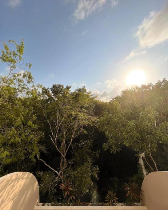Loft, Gym, Pool, Internet Zama * Tulum