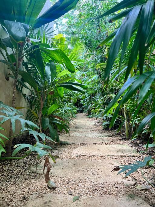 Jungle Oasis - With Private Pool