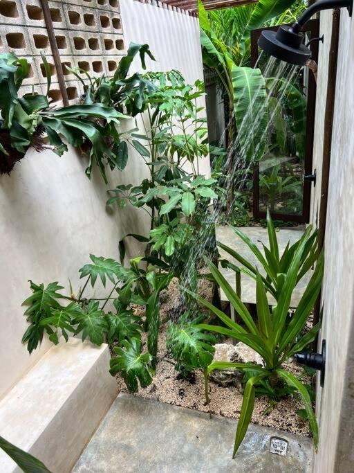Villa Jungle Oasis - With Private Pool