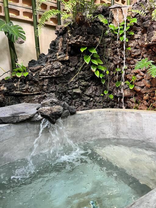 Jungle Oasis - With Private Pool Tulum