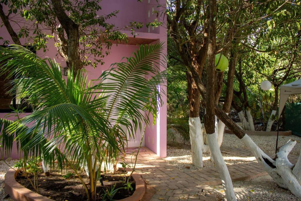 Casa Rosse *