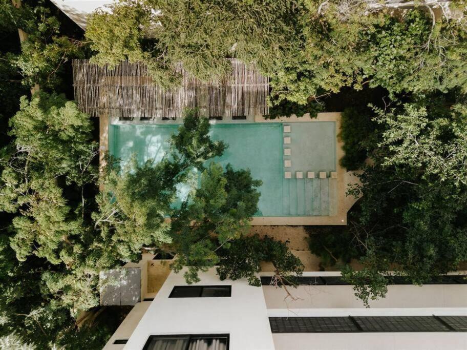 Casa Coba Sol Penthouse Pool Aldea Zama *