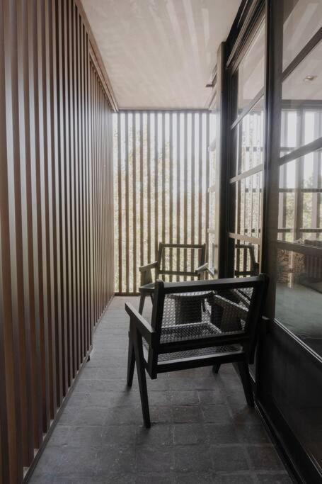 Designer Jungle Loft Aldea Zama Club Apartamento