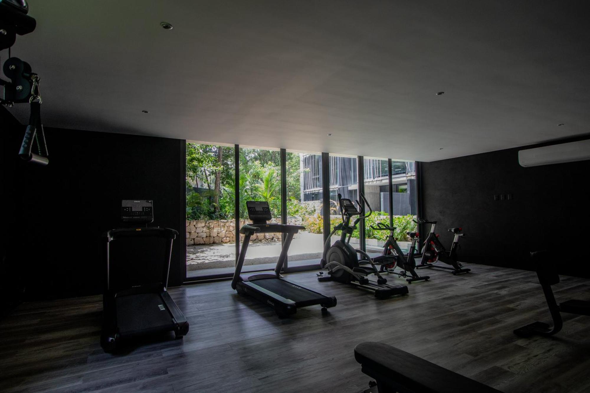 Apartamento Depto De Lujo Con Plunge Pool Privada