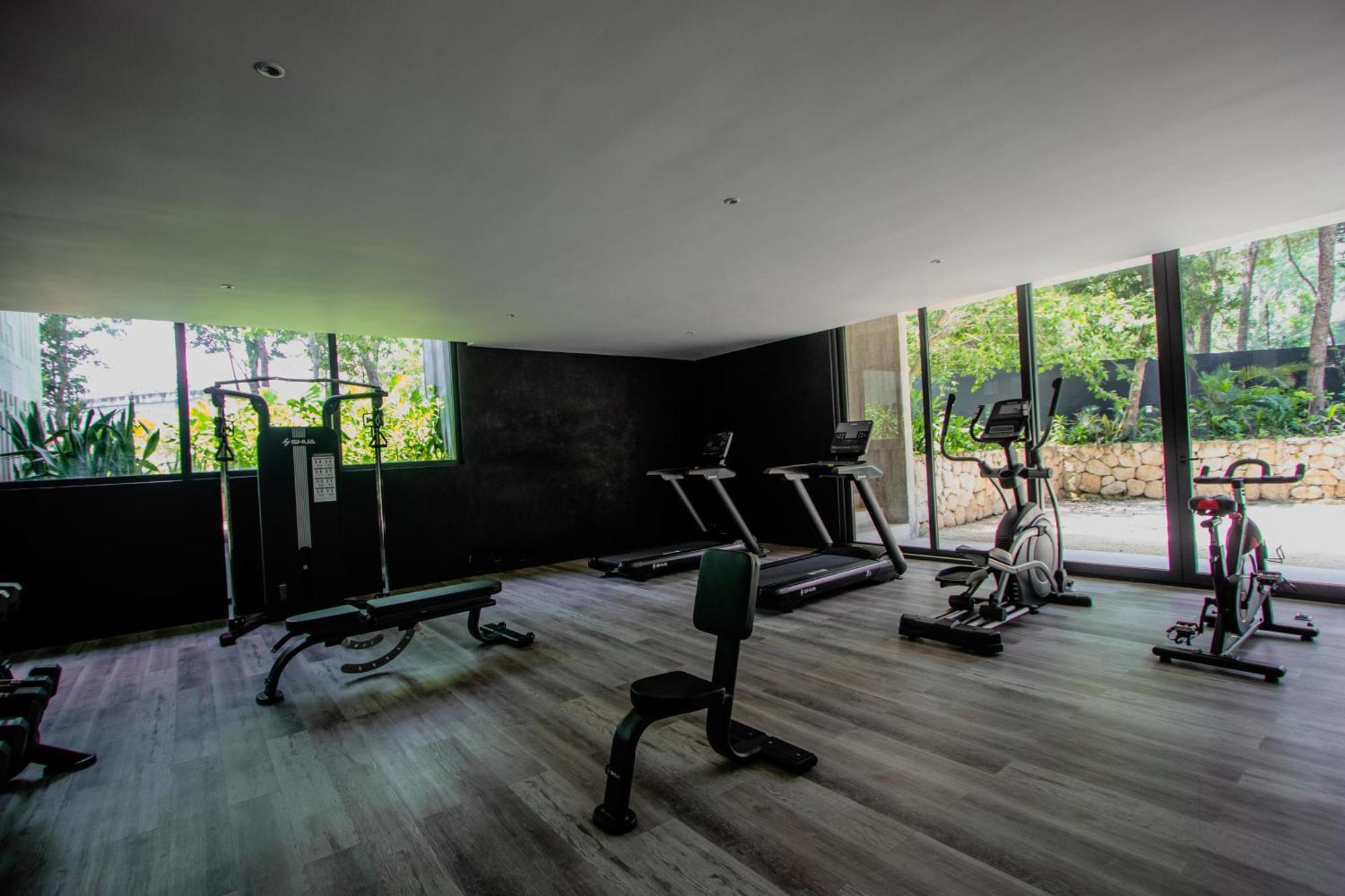 Apartamento Depto De Lujo Con Plunge Pool Privada *