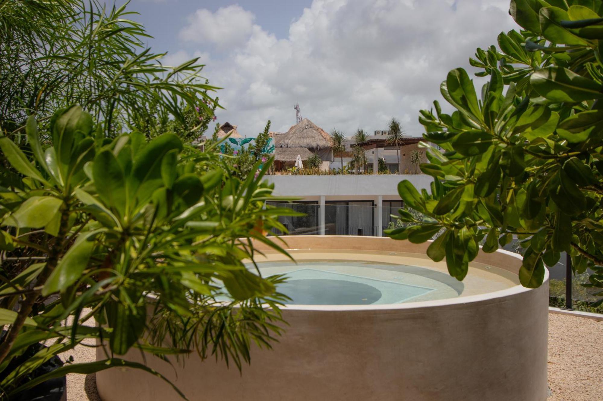 Apartamento Depto De Lujo Con Plunge Pool Privada *