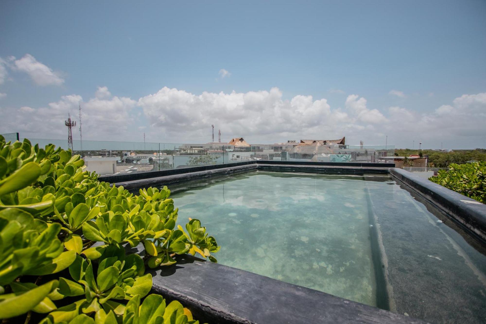 Depto De Lujo Con Plunge Pool Privada Apartamento *