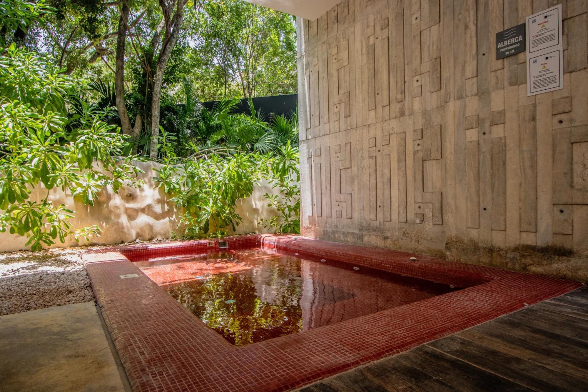 Depto De Lujo Con Plunge Pool Privada Apartamento