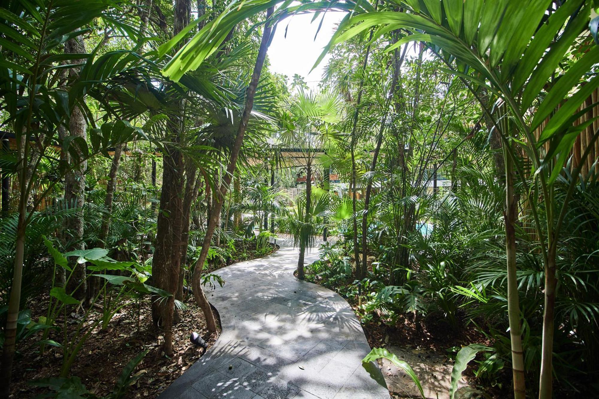 5 Star New Luxury With Cenote And Infinity Pool * Tulum