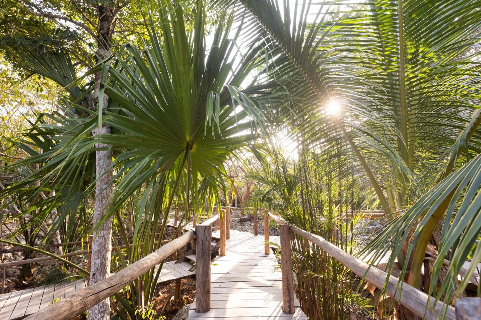 Pepem Holistic Experience - Peaceful Retreat Near (adults Only) Villa *