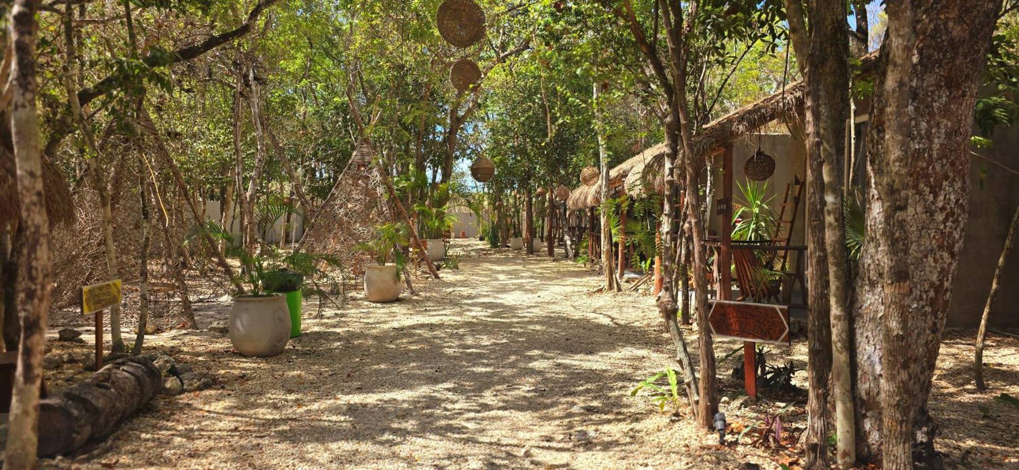 Kin Jungle Deluxe Pensión Tulum