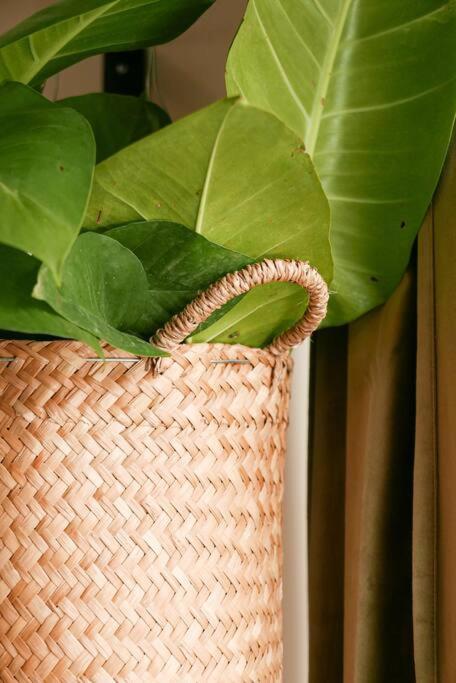 Apartamento Luxury In The Exclusive Area Of Tulum