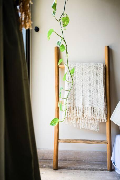Luxury In The Exclusive Area Of Apartamento Tulum