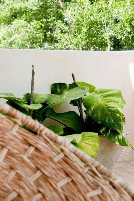 Luxury In The Exclusive Area Of Apartamento *