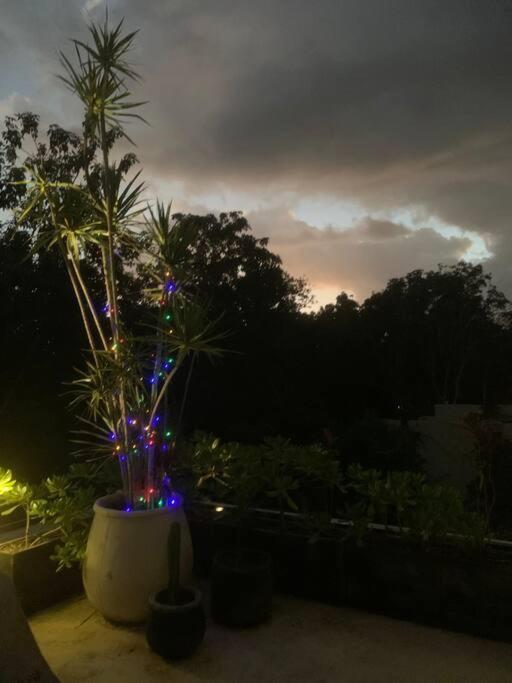 Villa Kaan In Holistika, - Private Pool, Garden & Rooftop Tulum