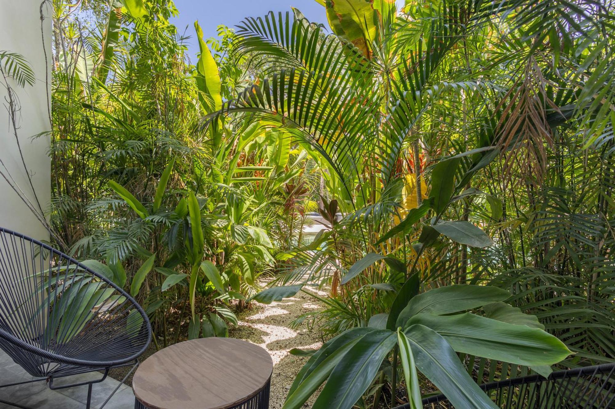 Mistiq Gardens Apartamento *