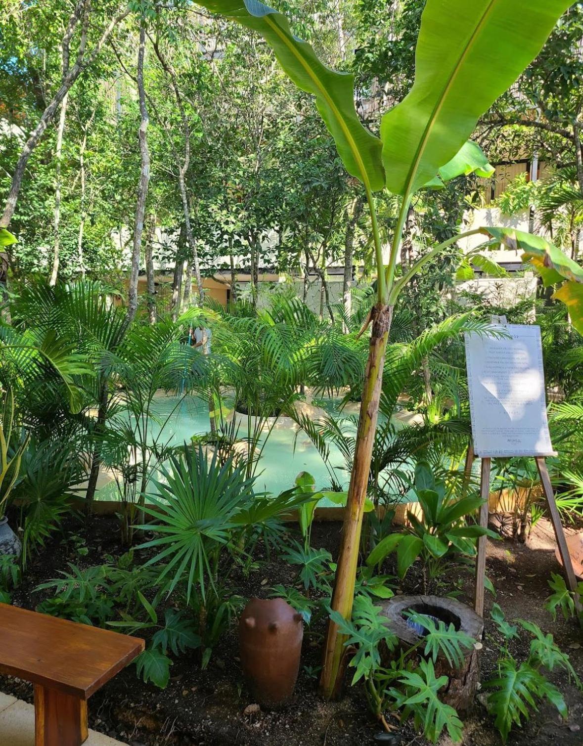 Apartamento Kuukum