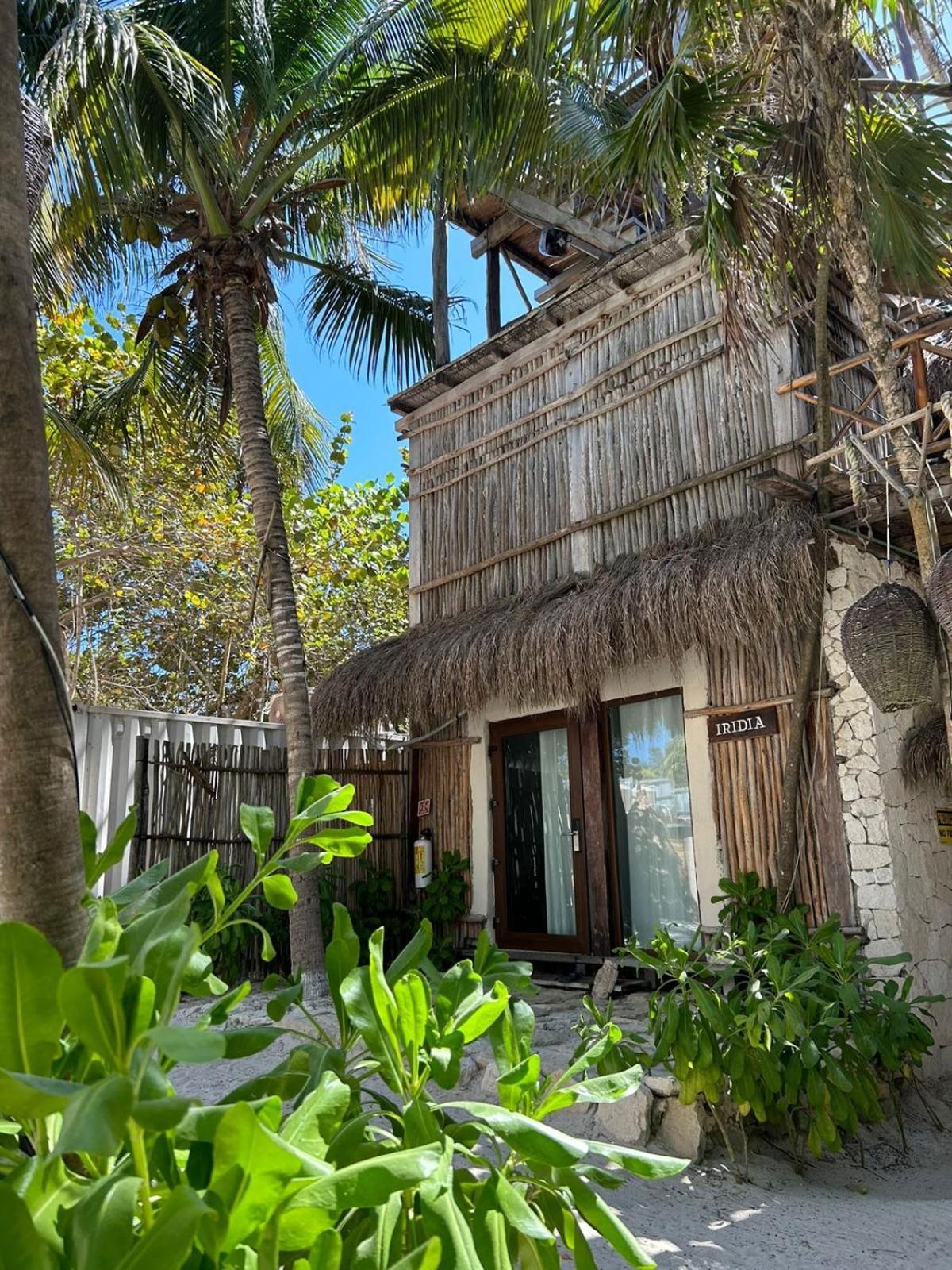 Hotel Alquimia Boutique 4*
