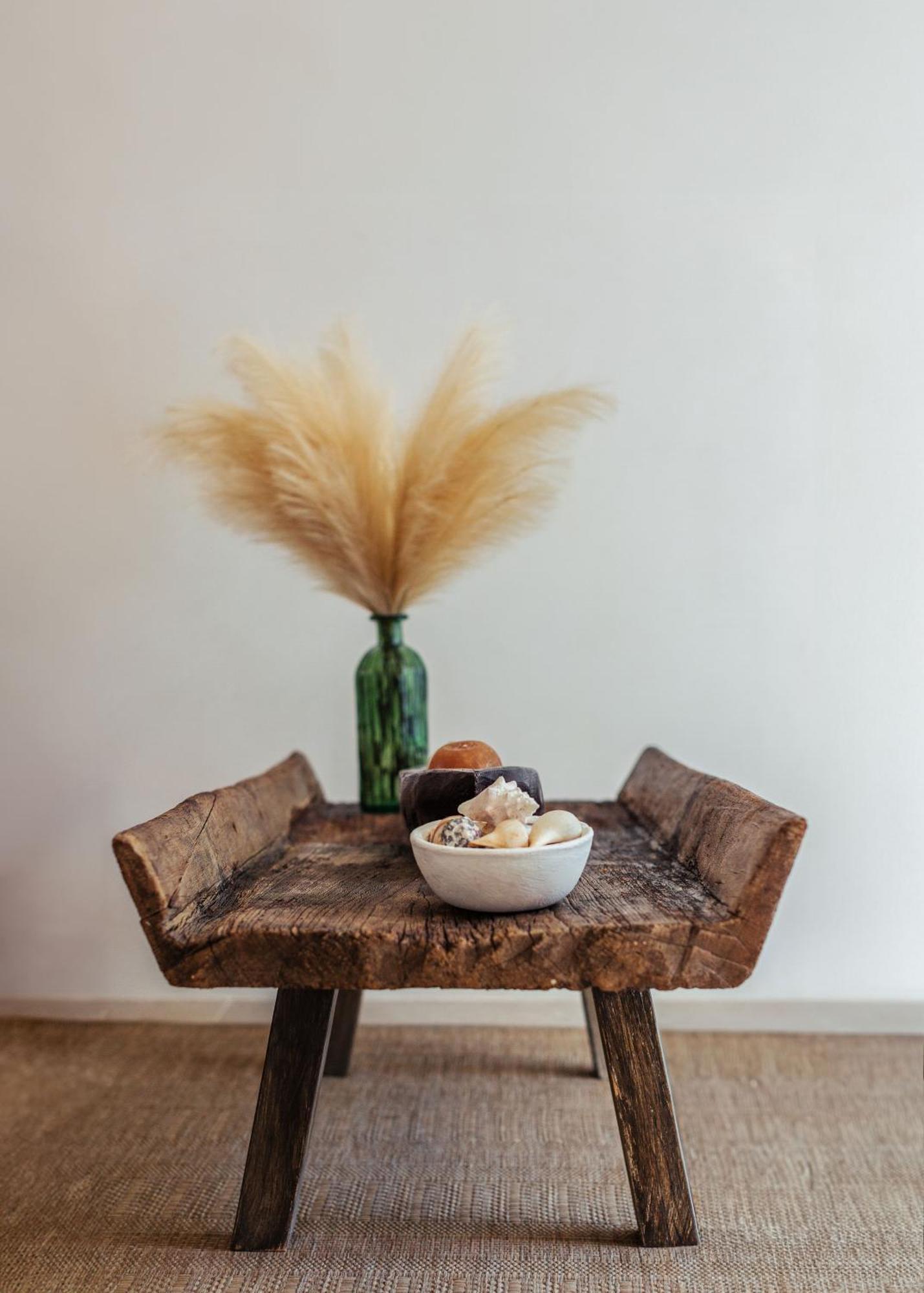 Apartamento Jungle Treasure In *