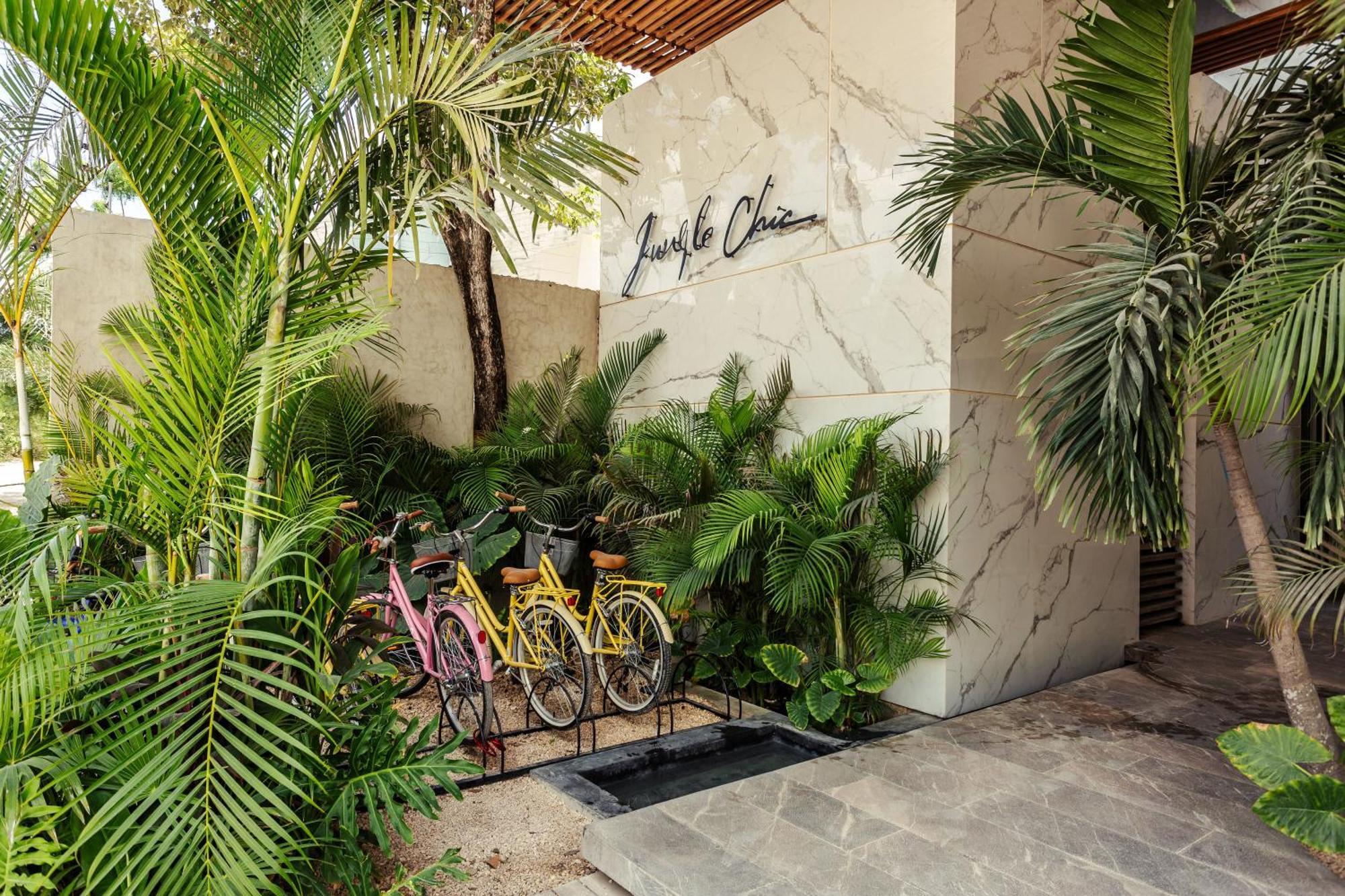 Jungle Treasure In Apartamento