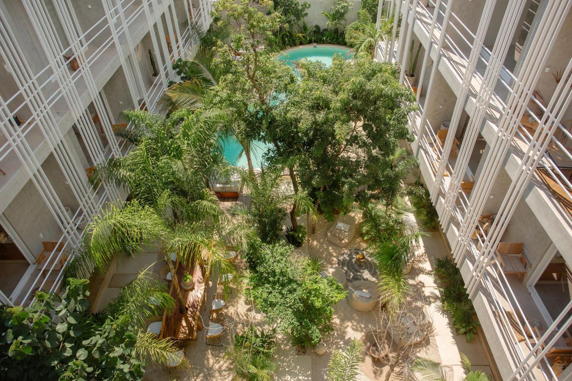 Jungle Treasure In * Tulum