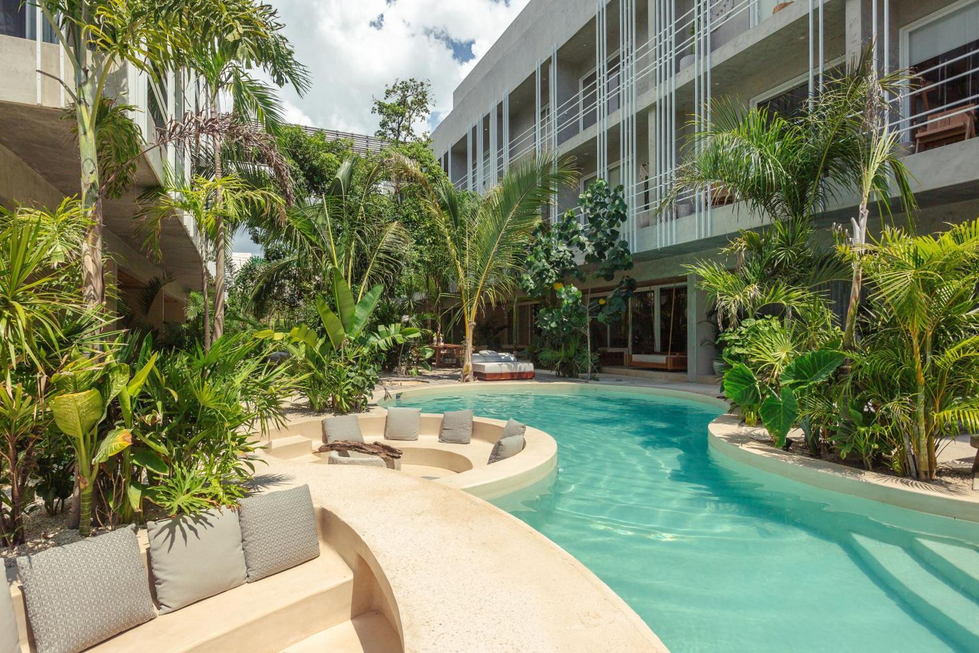 Apartamento Jungle Treasure In *
