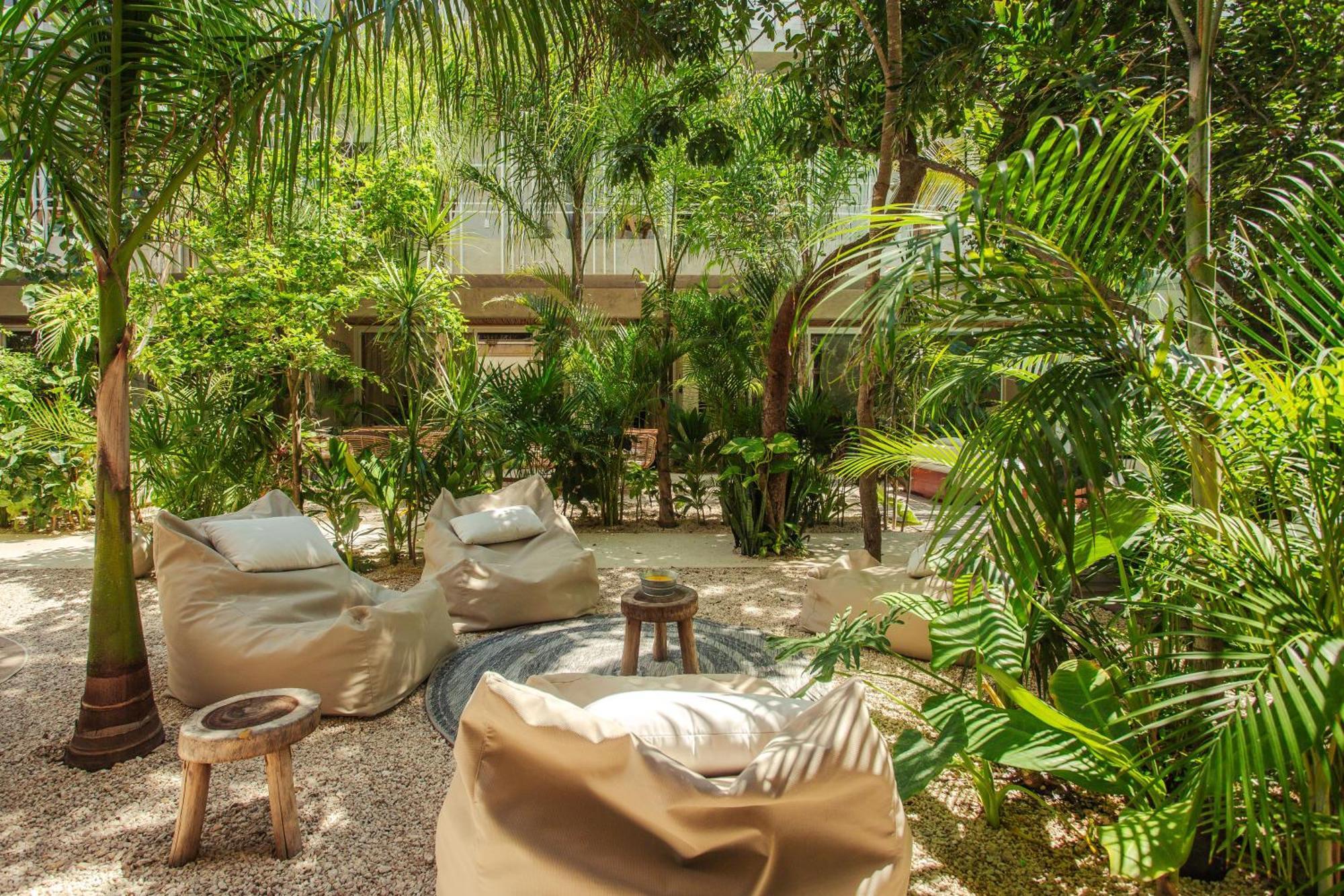 Jungle Treasure In Apartamento Tulum