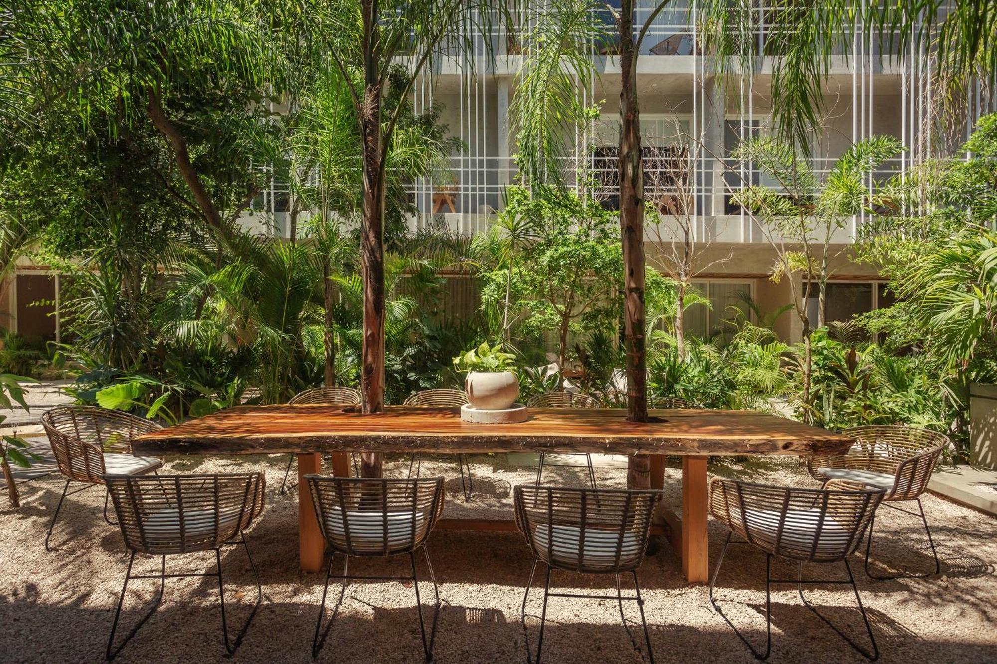 Apartamento Jungle Treasure In Tulum