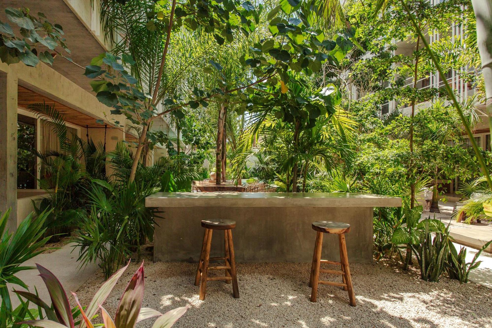 Apartamento Jungle Treasure In