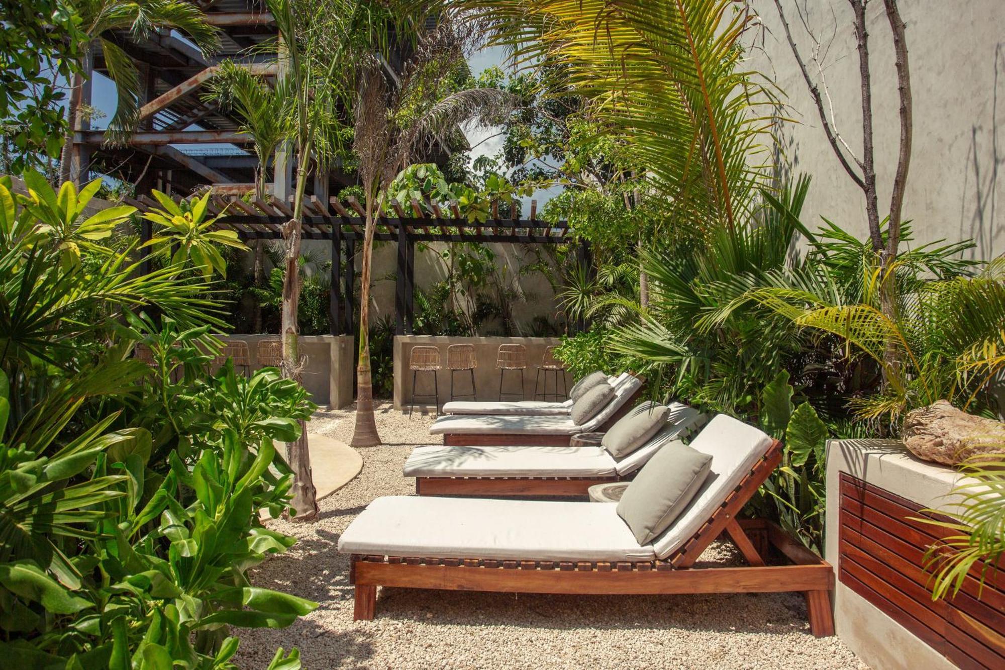 Jungle Treasure In Apartamento
