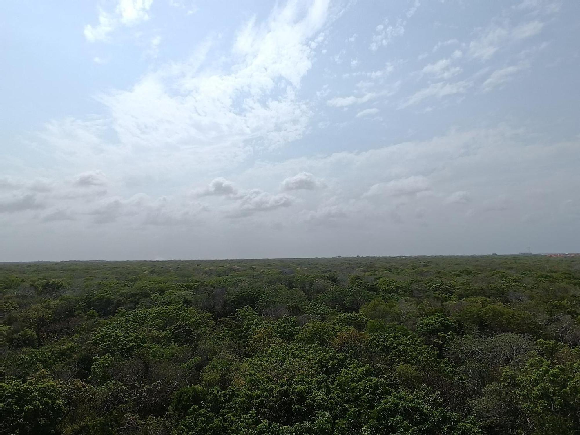 Departamento De 1 Hab Con Balcon En Zona Hotelera Ad Tulum