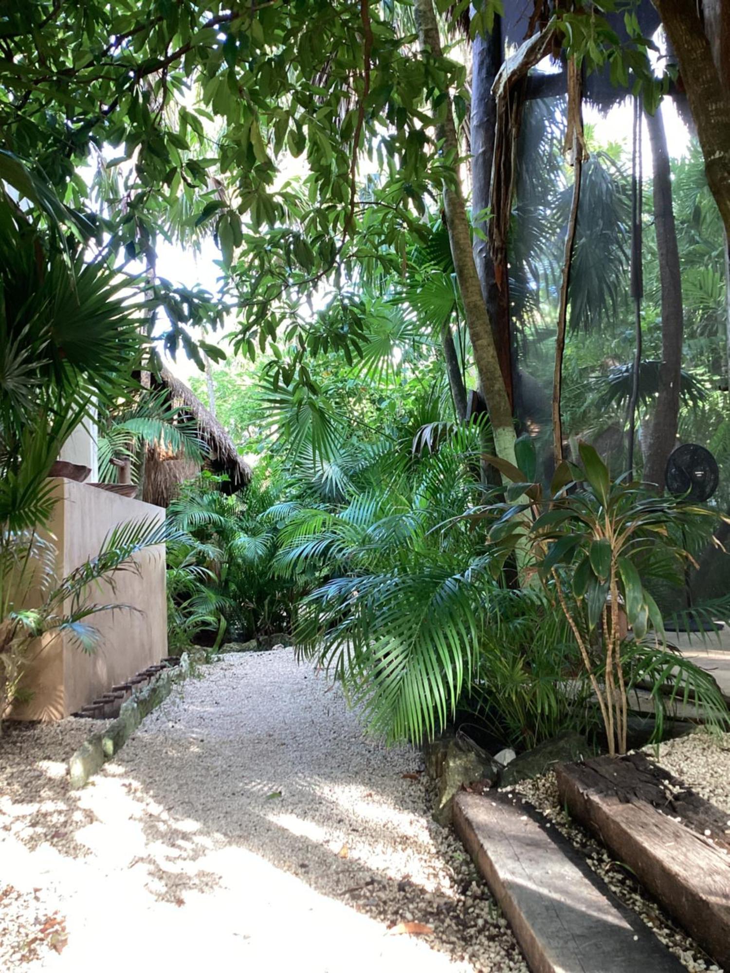 Lodge Yaxchen & Cenote Tulum