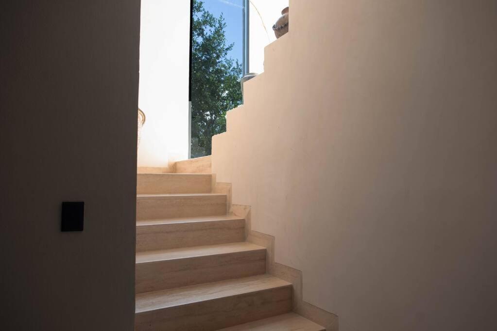 Ph Con Piscina Privada-sunset & Selva By Bt Homes Tulum