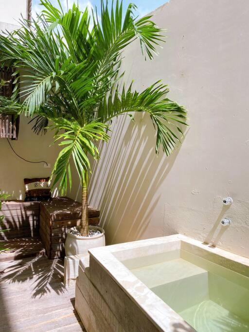 Apartamento Oasis In Hippest Part Of