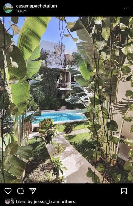 Apartamento Oasis In Hippest Part Of Tulum
